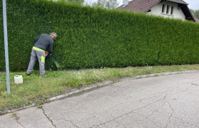 Élagueur à Saint-Dié-des-Vosges (88100)