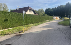 Élagueur à Saint-Dié-des-Vosges (88100)