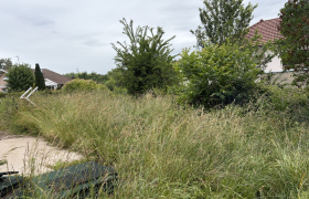Débroussaillage de jardin Senones