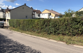 Taille de haie à Schirmeck 67